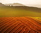 Field Patterns near Devils Dyke