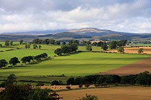 cheviot from kyloe