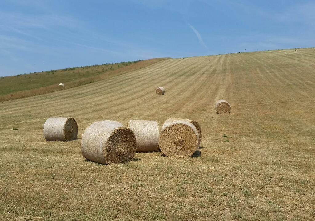 Kingston-near-Lewes to Alfriston