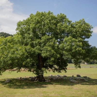 Buckden in the Yorkshire Dales