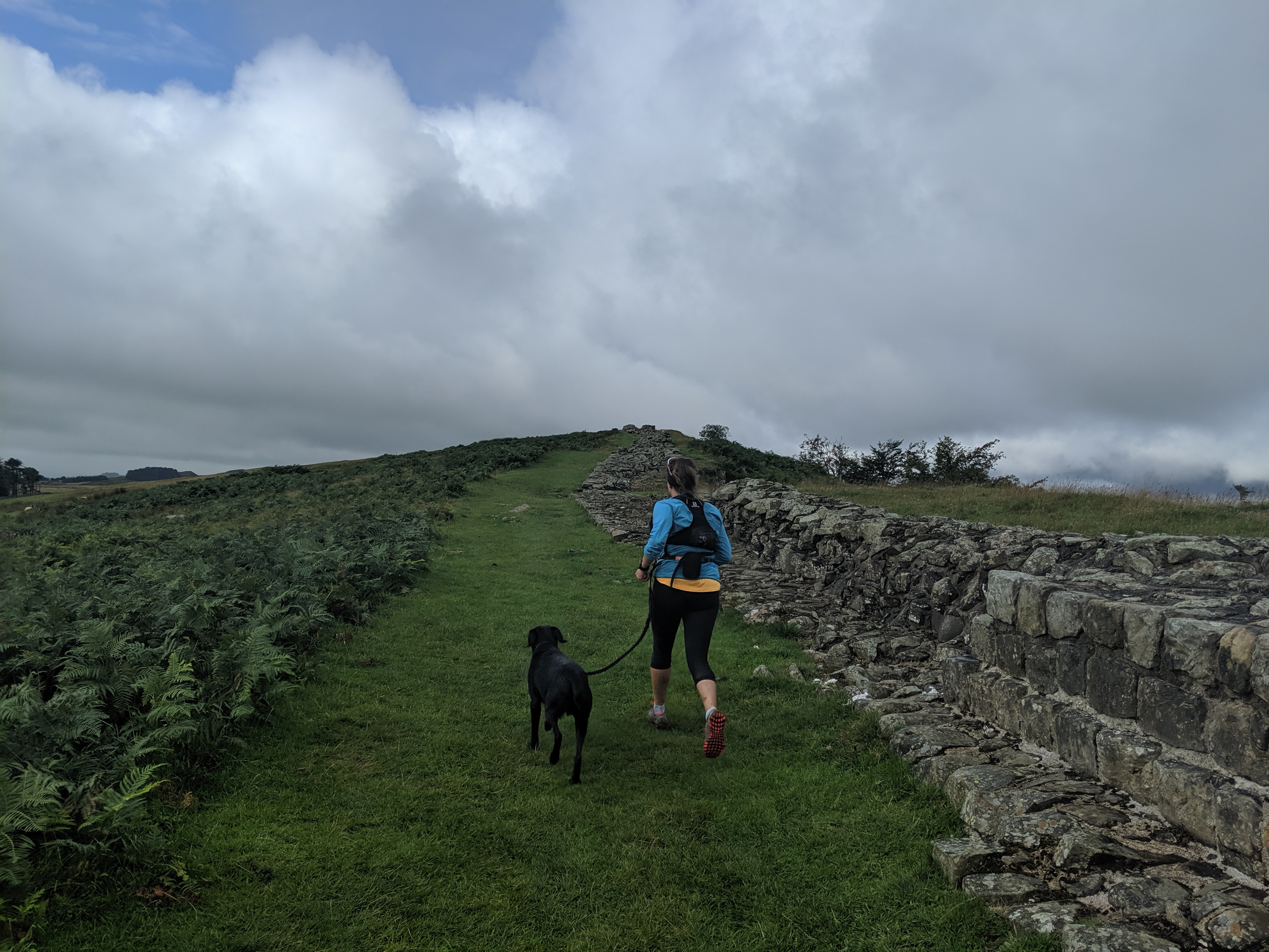 Charlotte Running