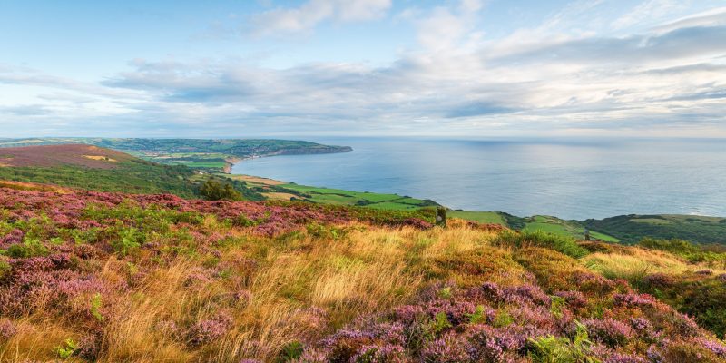 Cleveland Way
