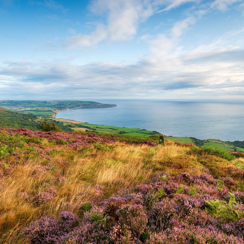 Cleveland Way
