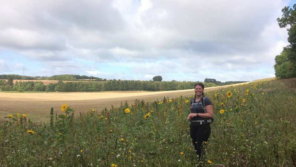 Cotswold Way Dowdeswell to Painswick