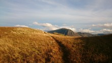 Grasmoor from Darling Fell