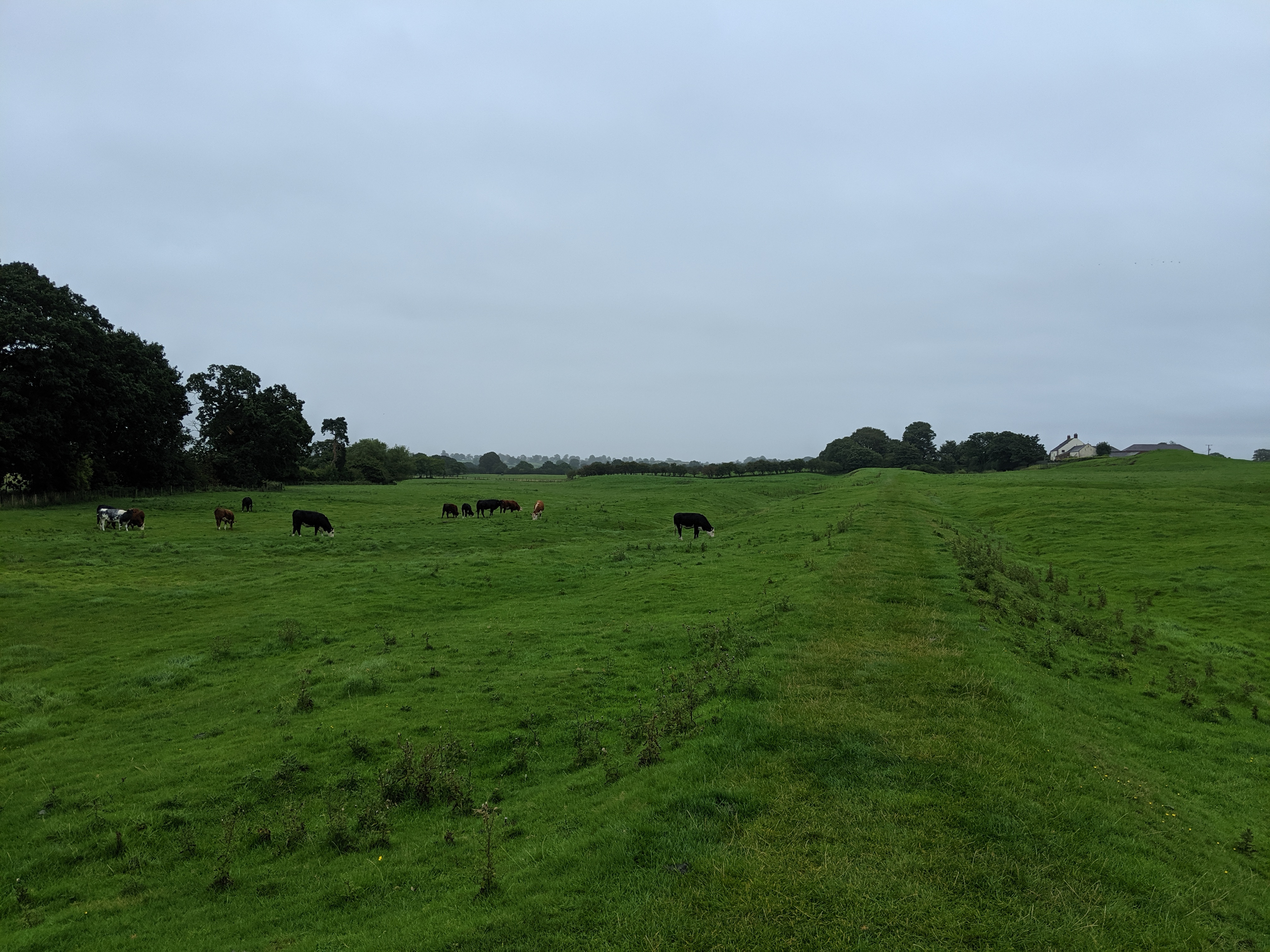 Hadrian's Wall Banks to Carlisle