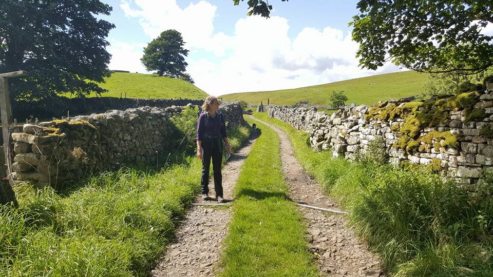 Herriot Way Aysgarth to Hawes