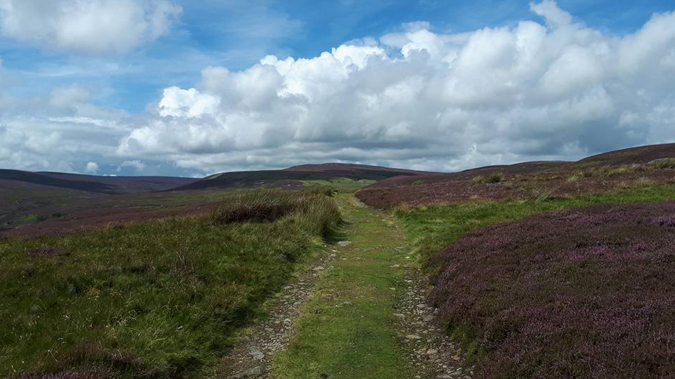 Herriot Way Keld to Reeth