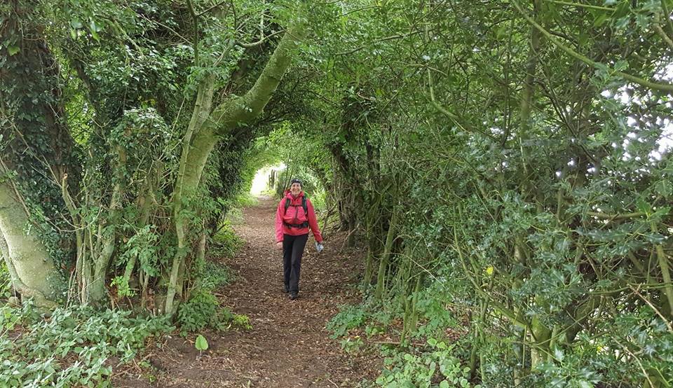 Herriot Way Reeth to Aysgarth