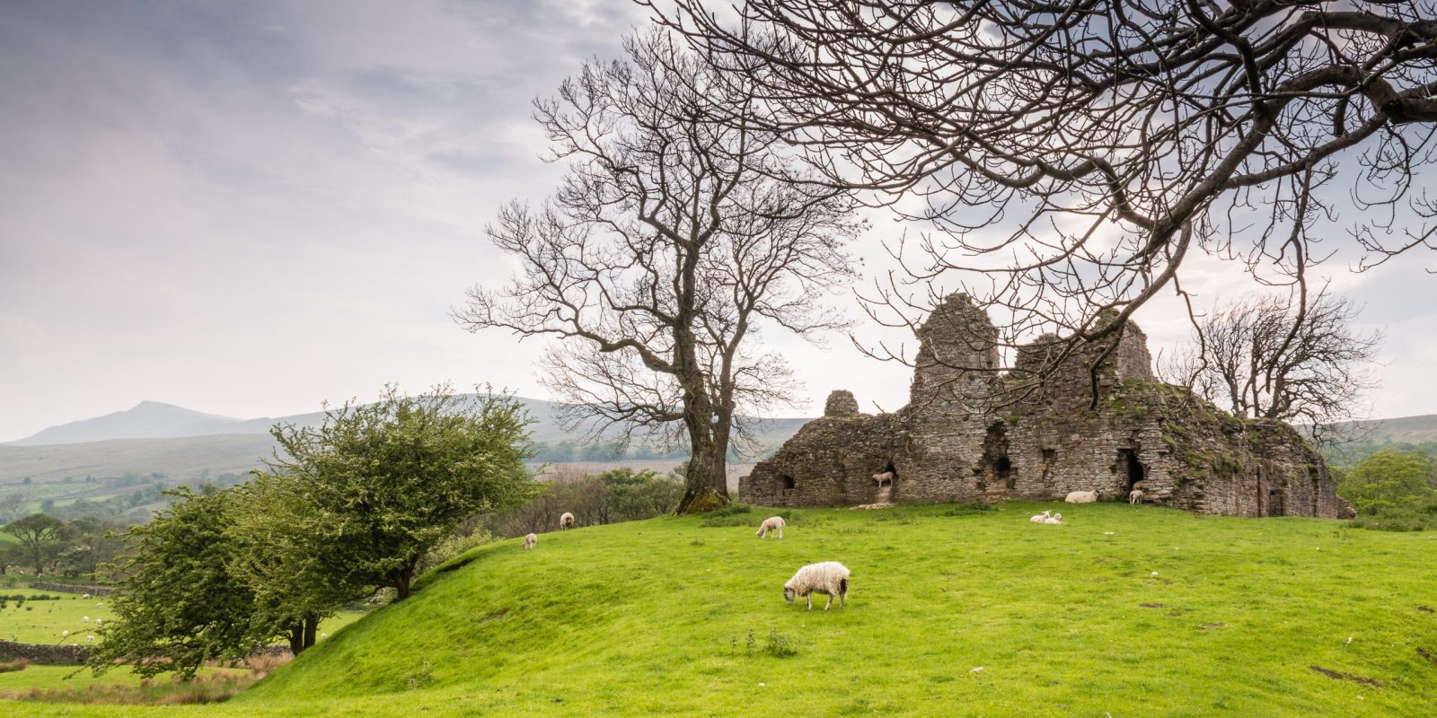 Lady Anne's Way