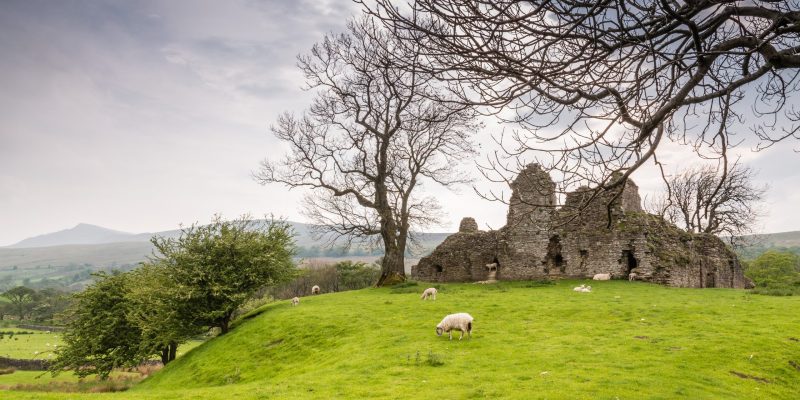 Lady Anne's Way