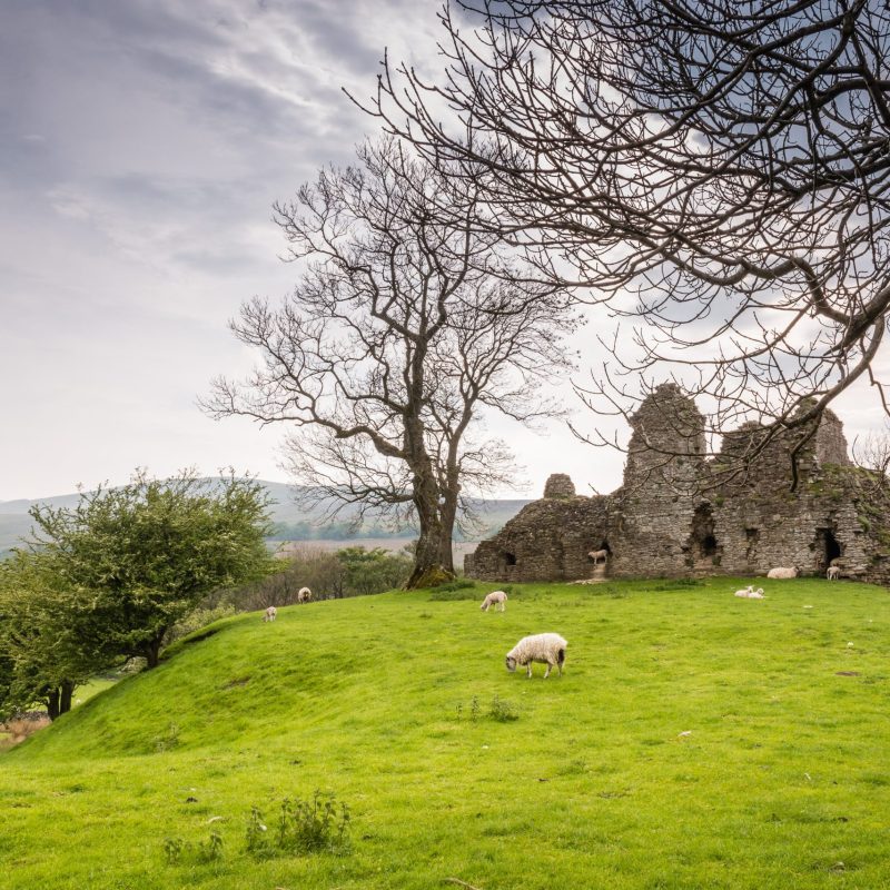 Lady Anne's Way