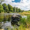 River Teviot