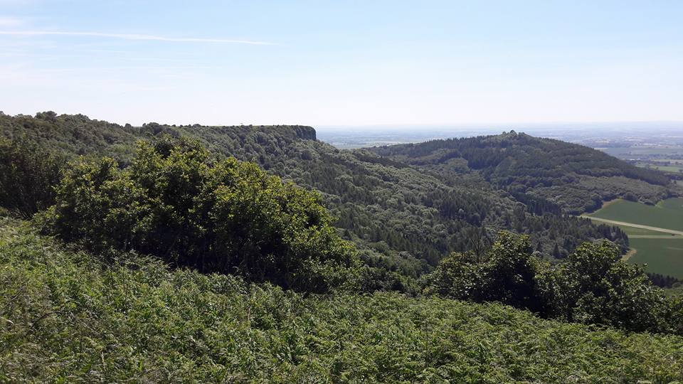 Roulston Scar