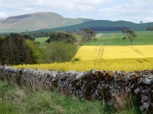 St Cuthbert's Way