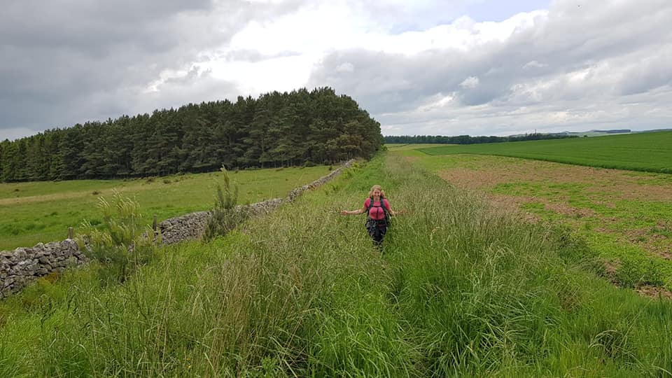 St Cuthberts Way - Harestanes to Morebattle.