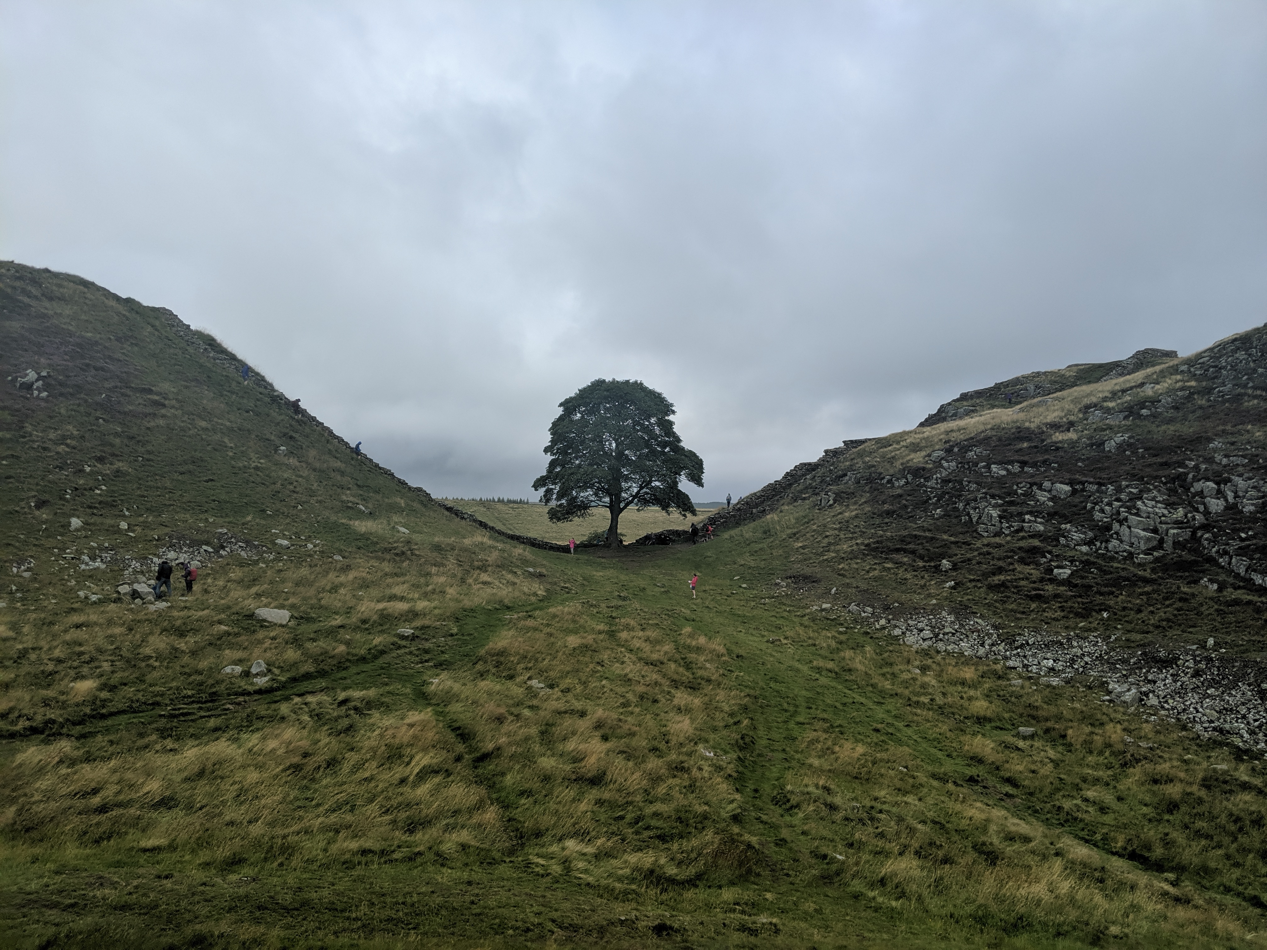 Sycamore Gap