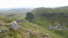 Sycamore Gap