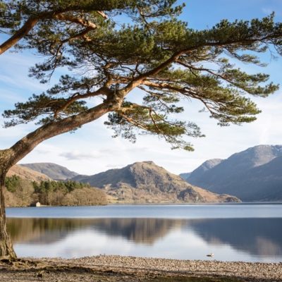 Lakeside view in the Vale of Lorton