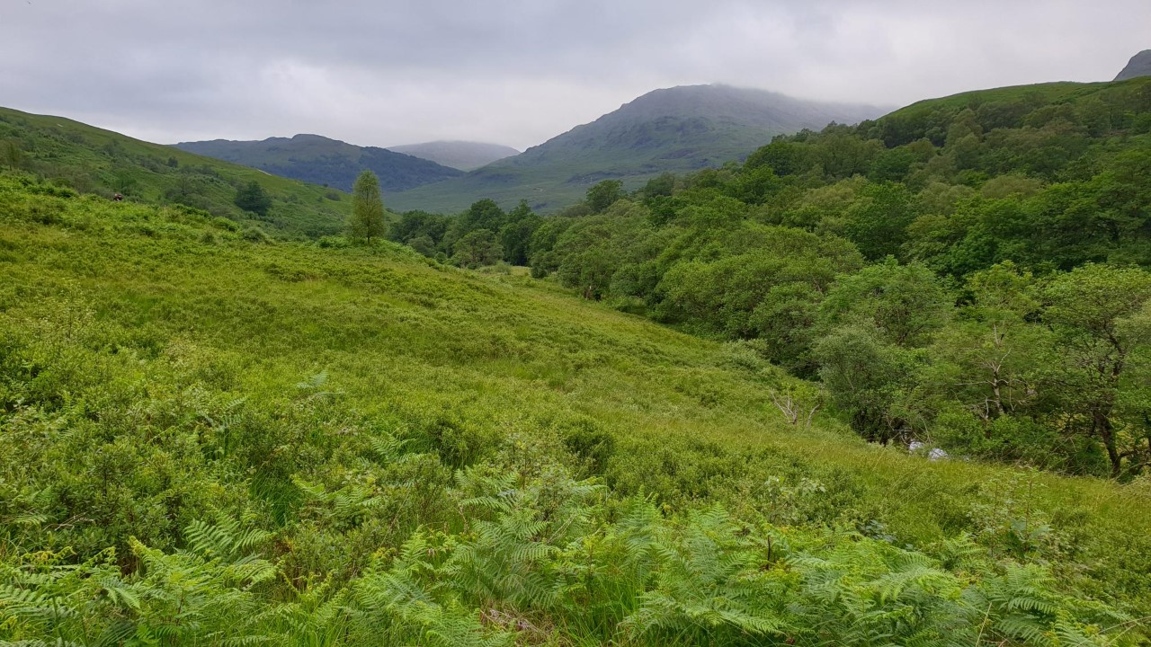 West Highland Way Day 4 Inverarnan to Tyndrum