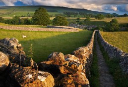 Walking the Dales Way