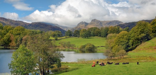 on the Westmorland Way