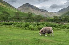 Mosedale Valley above Wasdale Head