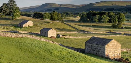 Barns in Swaledale